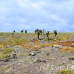 island_plaza_south_spz_h_0177_ecu1876.jpg